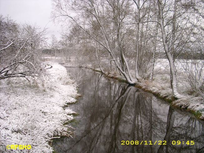 Ise an der Lübingshorster Brücke