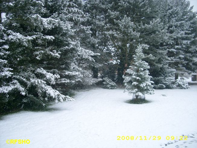 Schnee vor dem Haus