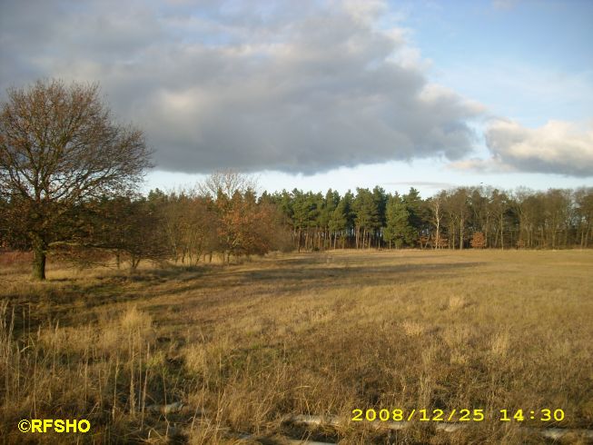 Wanderung zum Wohlenberg bei Leiferde