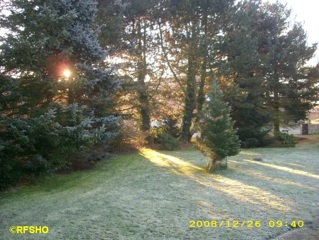 Kein Schnee zu Weihnachten