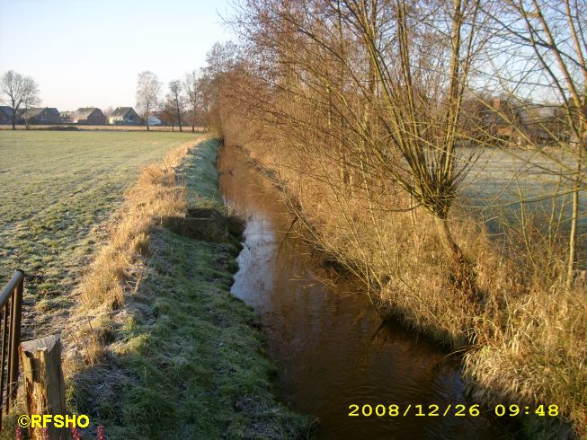 die Riet am Feuerwehrhaus