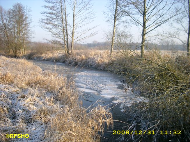 Eis auf der Ise (Lübingshorster Brücke)