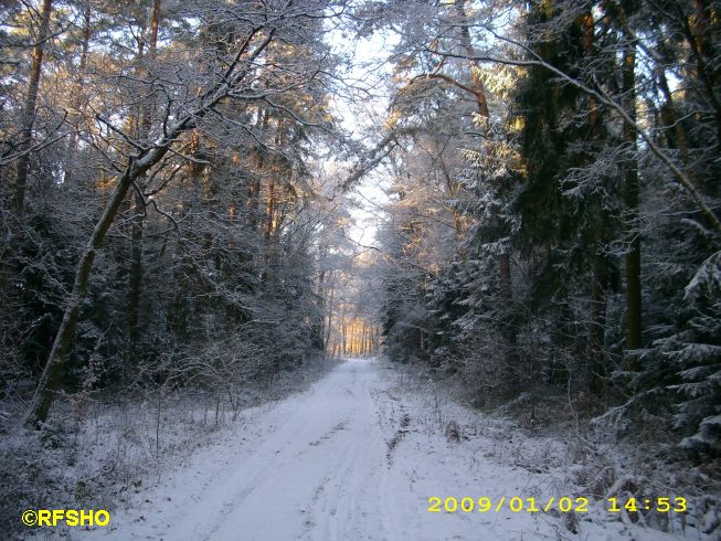 Weg am Immenbusch