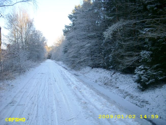 Schönewörder Talgraben (Zuckerlandweg)