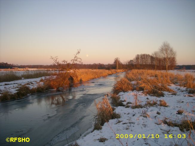 Ise (Lübingshorster Brücke)