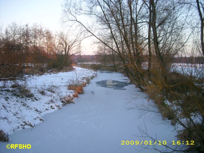 Ise (Lübingshorster Brücke)