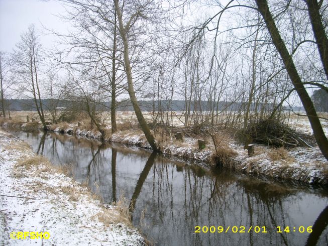 Ise (Lübingshorster Brücke)