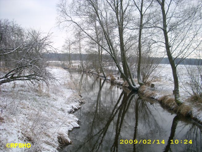 Ise (Lübingshorster Brücke)