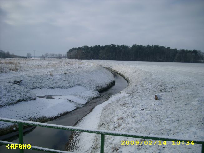 die Riet am Elbeseitenkanal