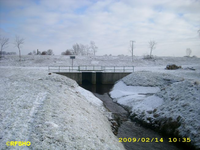 Rietdüker am Elbeseitenkanal