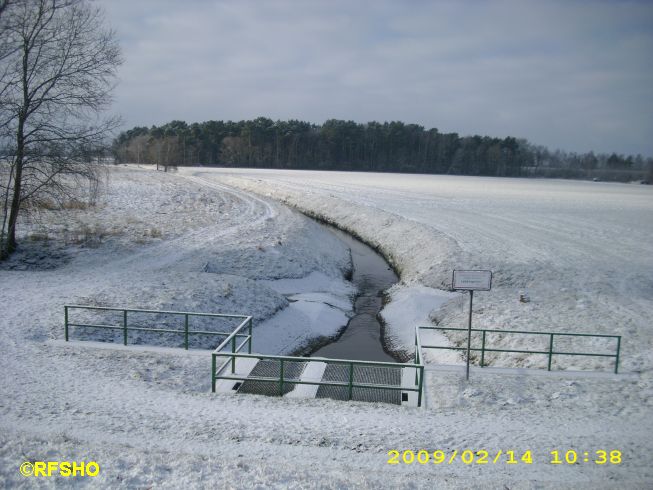 Rietdüker am Elbeseitenkanal