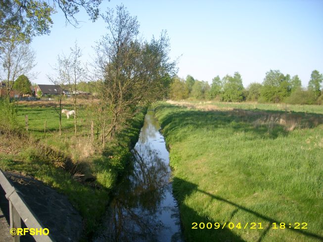 Die Riet (Rietbrücke Schwarzburg / Rietberg)