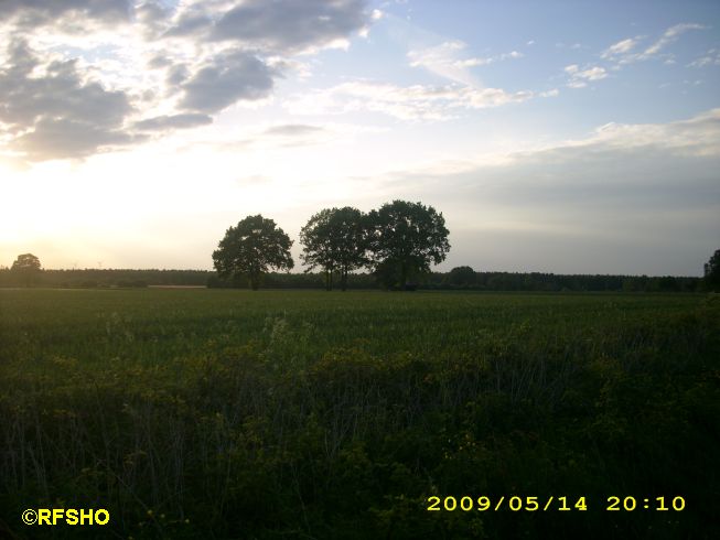 Schönewörde Nord (Schützenstrasse Ri. West)