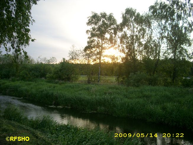 Ise (Lübingshorster Brücke)