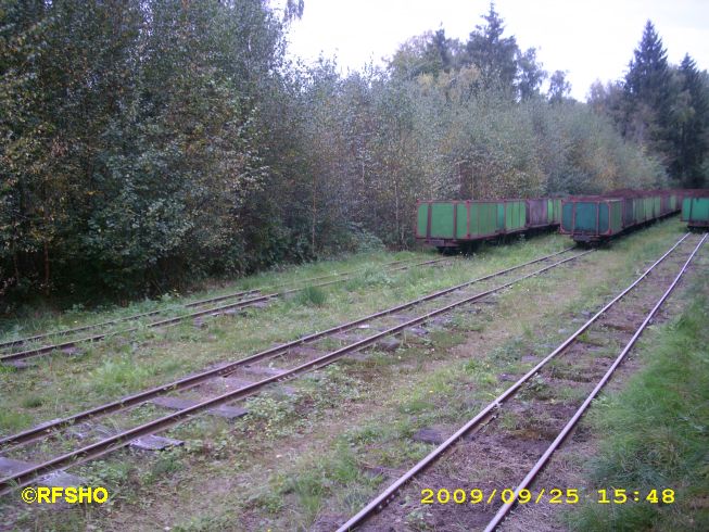 Rangierbahnhof im Wald