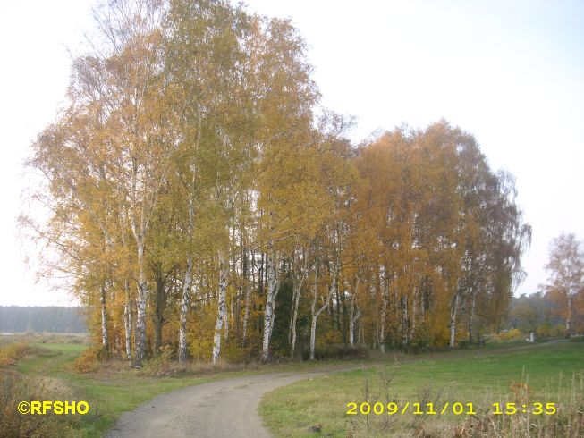 Lübingshorster Brcke