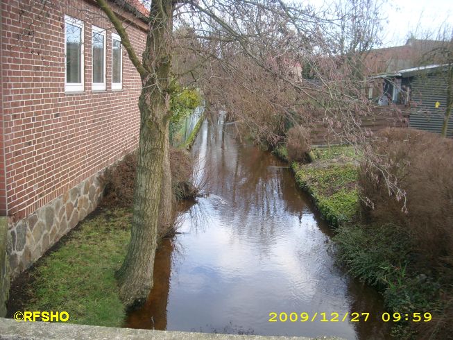 die Riet am Feuerwehrhaus (Dorfstrasse)