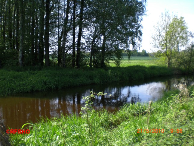 Ise - Lübingshorster Brücke