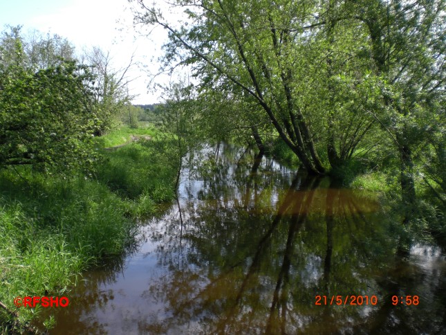 Ise - Lübingshorster Brücke