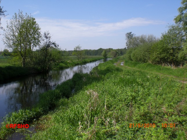 Ise - Lübingshorster Brücke