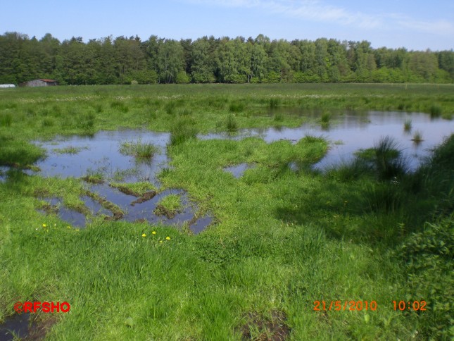 Ise - Lübingshorster Brücke