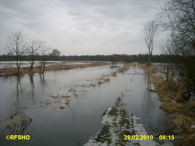 Ise (Lübingshorster Brücke)