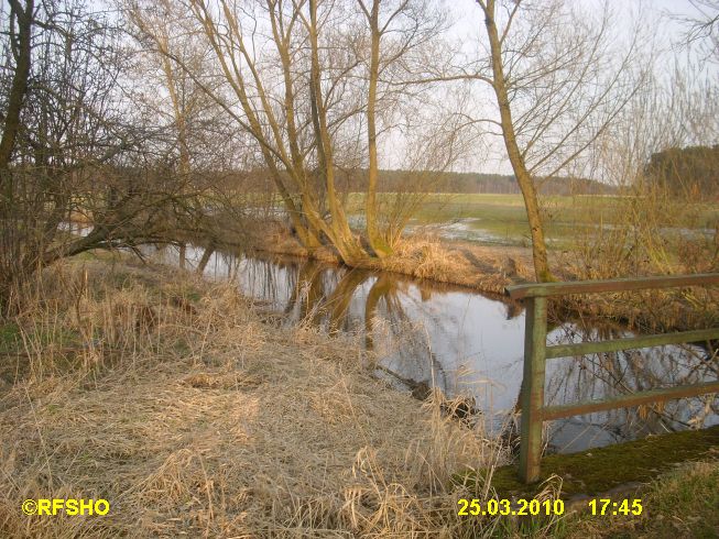 Ise Lübingshorster Brücke