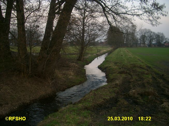 Riet am Glockenturm