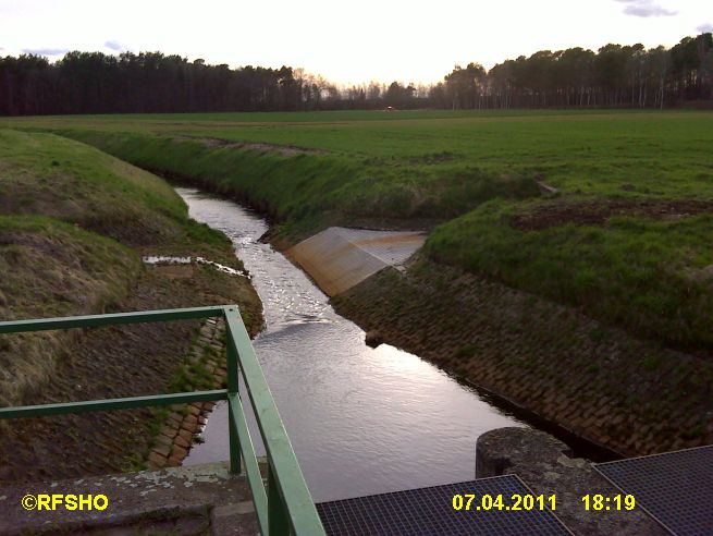 Riet Düker am Elbe−Seitenkanal