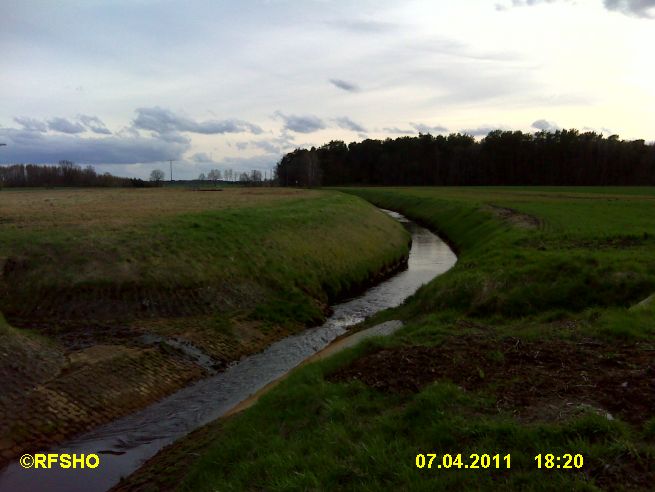 Riet Düker am Elbe−Seitenkanal