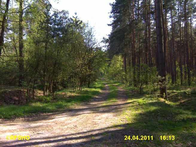 Wanderweg zum Wohlenberg