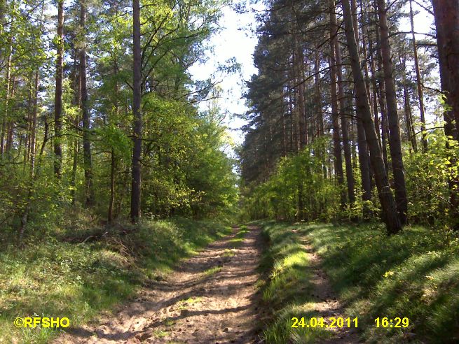 Wanderweg zum Wohlenberg