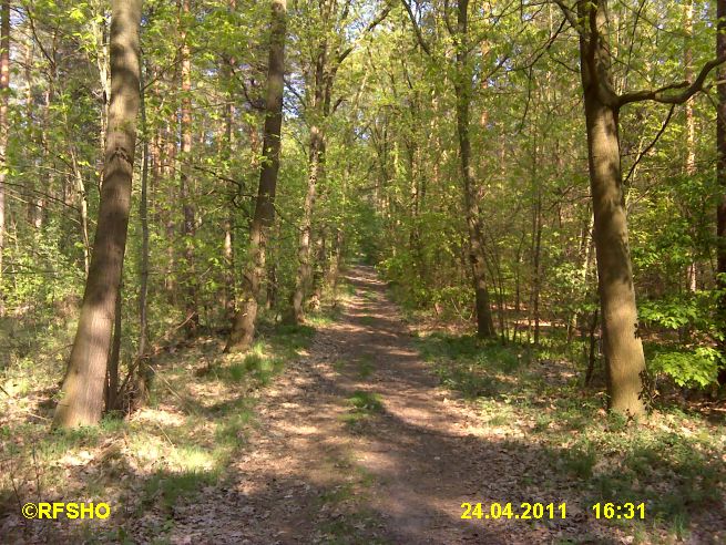 Wanderweg zum Wohlenberg