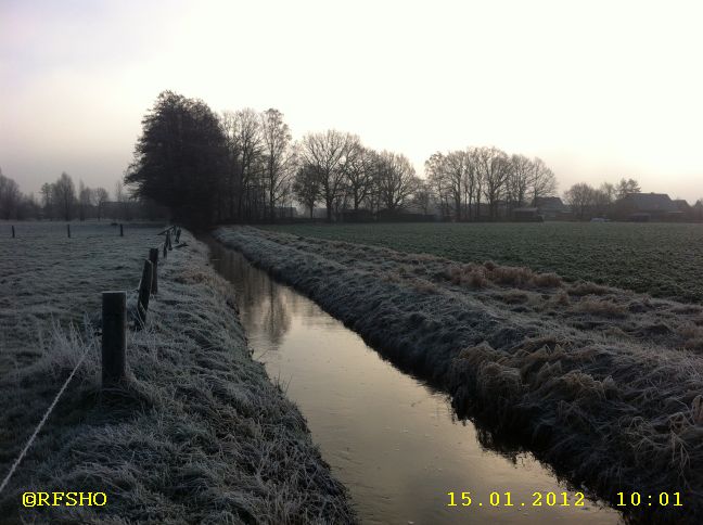 Riet am Glockenturm