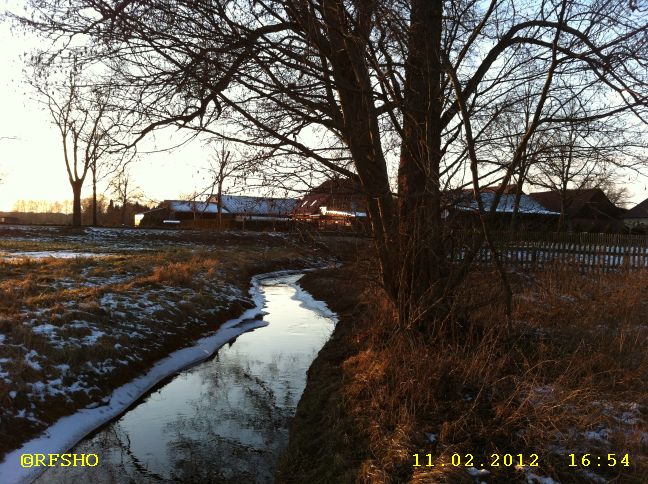 Riet am Glockenturm