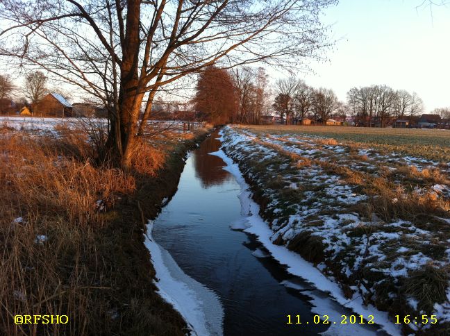 Riet am Glockenturm