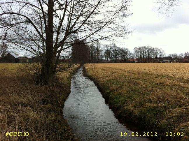 Riet am Glockenturm