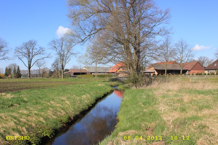 Riet am Glockenturm