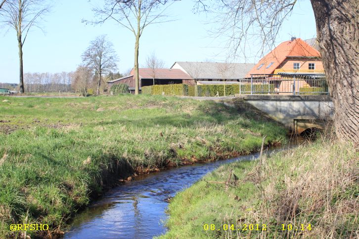 Riet am Glockenturm