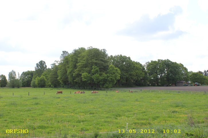 Blick vom Feuerwehrhaus