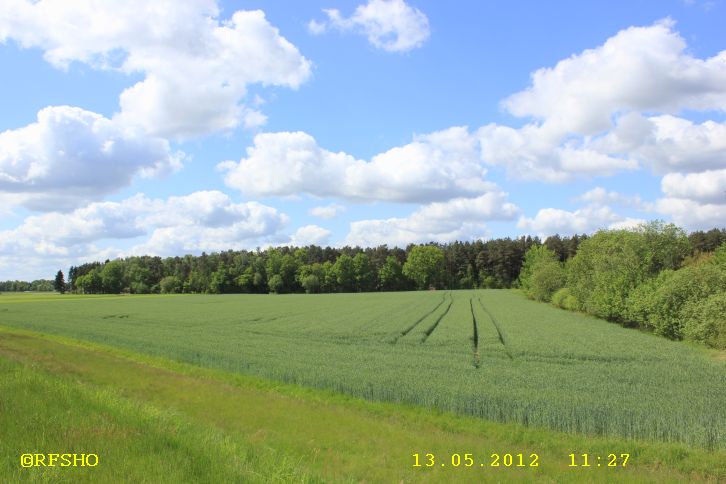 Blick vom Elbe-Seitenkanal