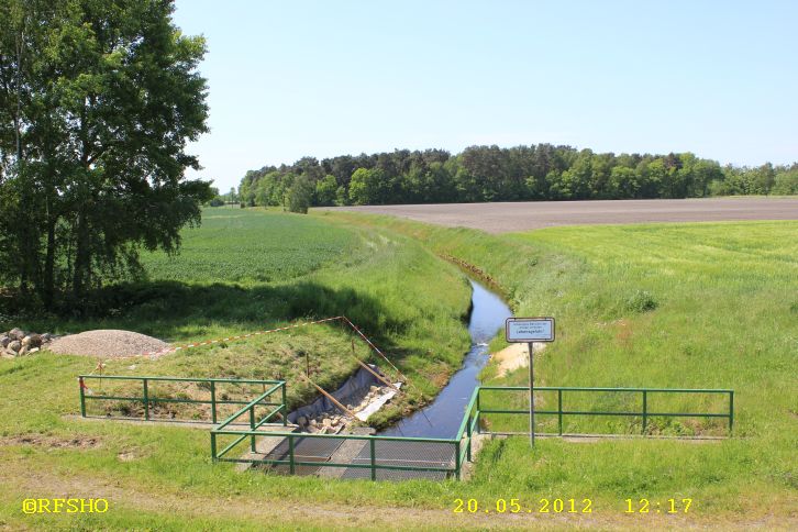 Riet am Elbe-Seitenkanal