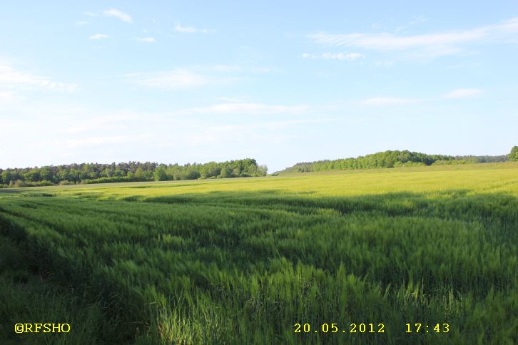 Am Elbe-Seitenkanal