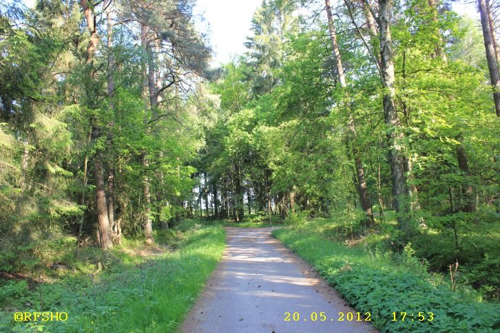 Am Elbe-Seitenkanal