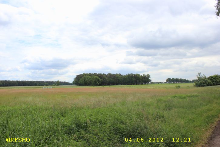 Ise - Lübingshorster Brücke