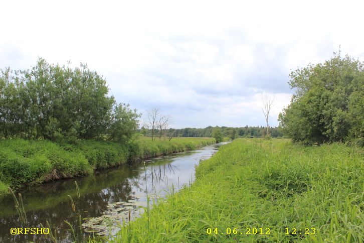 Ise - Lübingshorster Brücke