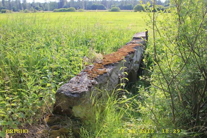 Wehr der alten Stauwiesenanlage