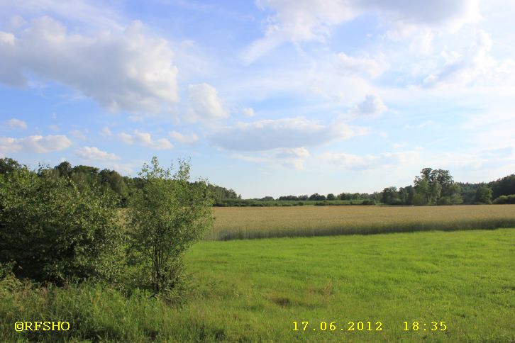 am Raumholzer Wasserlauf