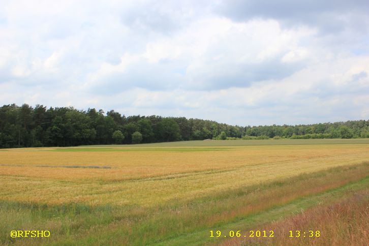 am Elbe-Seitenkanal