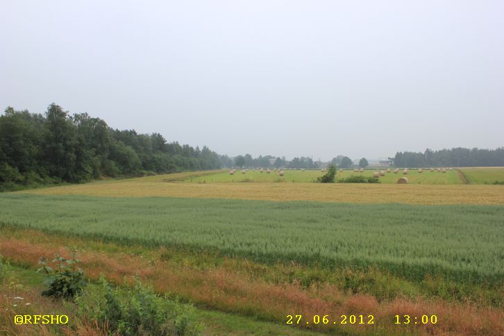 am Elbe-Seitenkanal